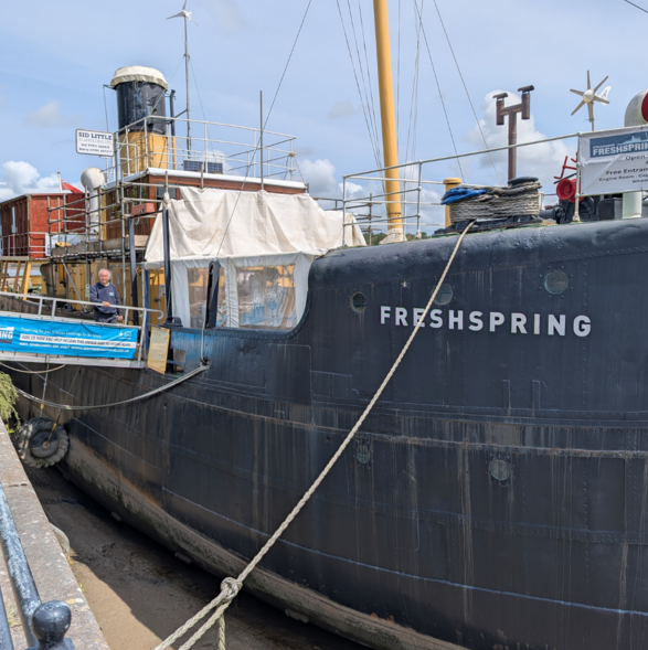 Steamship-Fresh-Spring-pic_0x0_acf_cropped-1